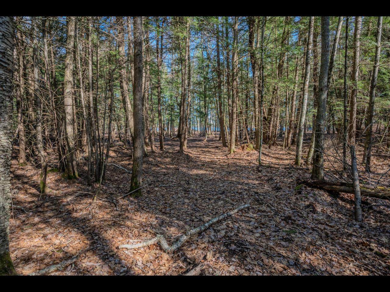 https://bt-photos.global.ssl.fastly.net/northwoods/orig_boomver_1_218074-2.jpg