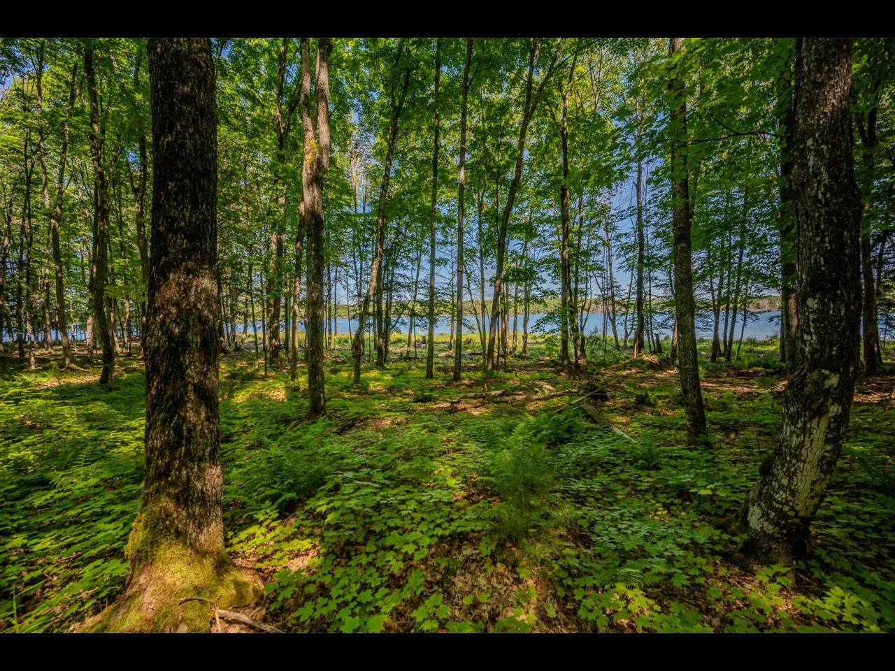 https://bt-photos.global.ssl.fastly.net/northwoods/orig_boomver_1_218079-2.jpg
