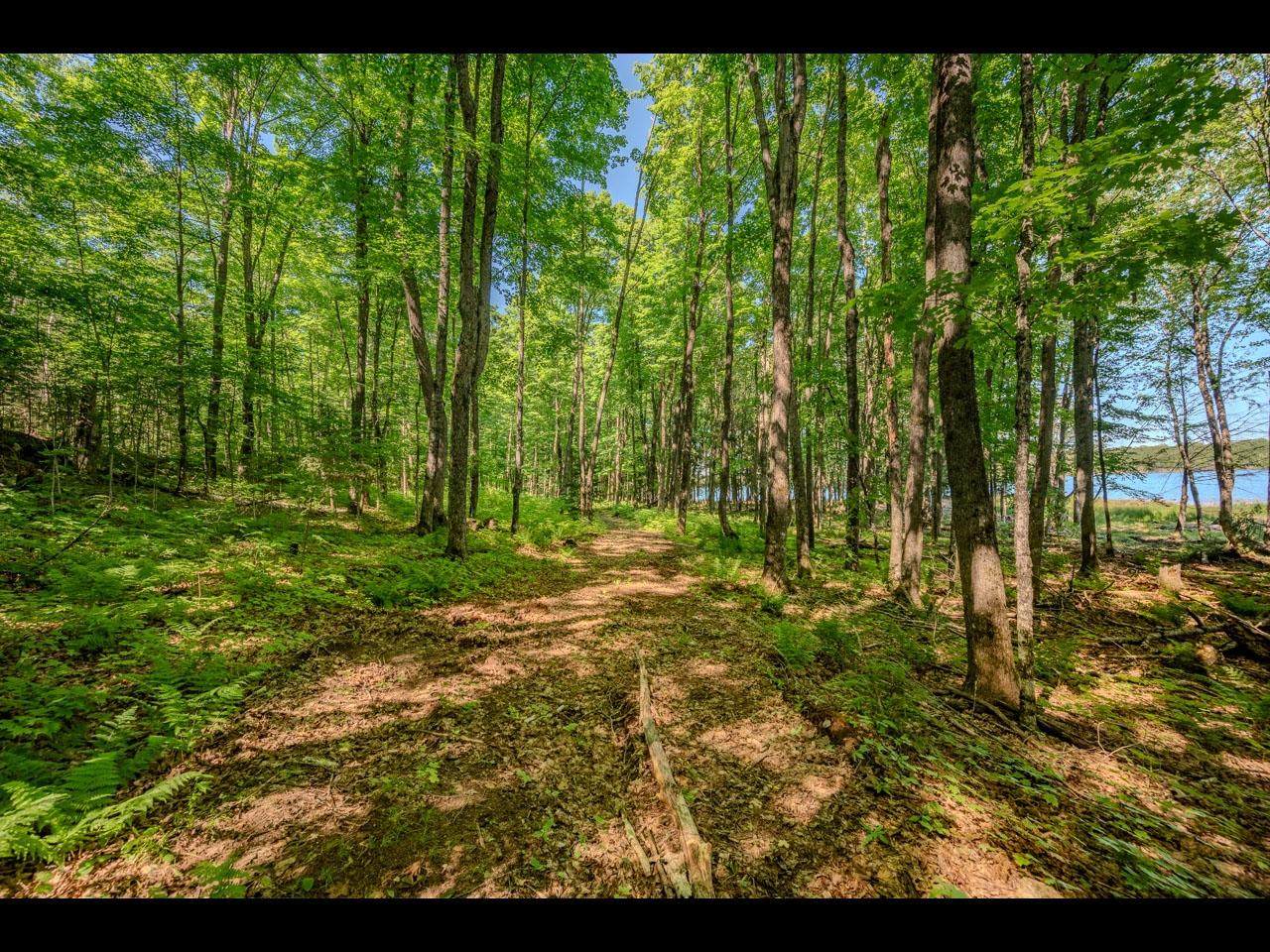 https://bt-photos.global.ssl.fastly.net/northwoods/orig_boomver_1_218079-2.jpg