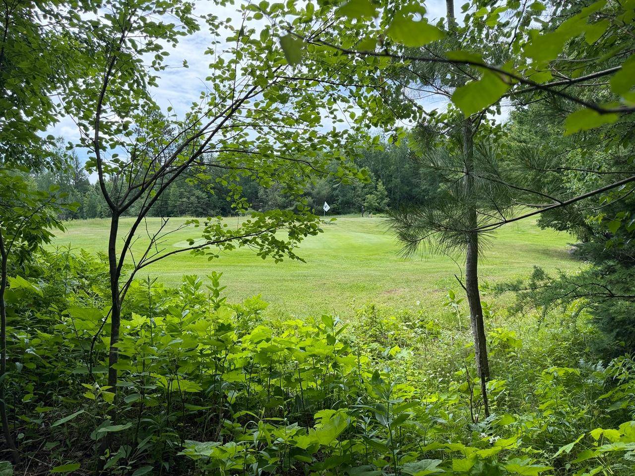 Lot 2 Tahoe Cr - Photo 1