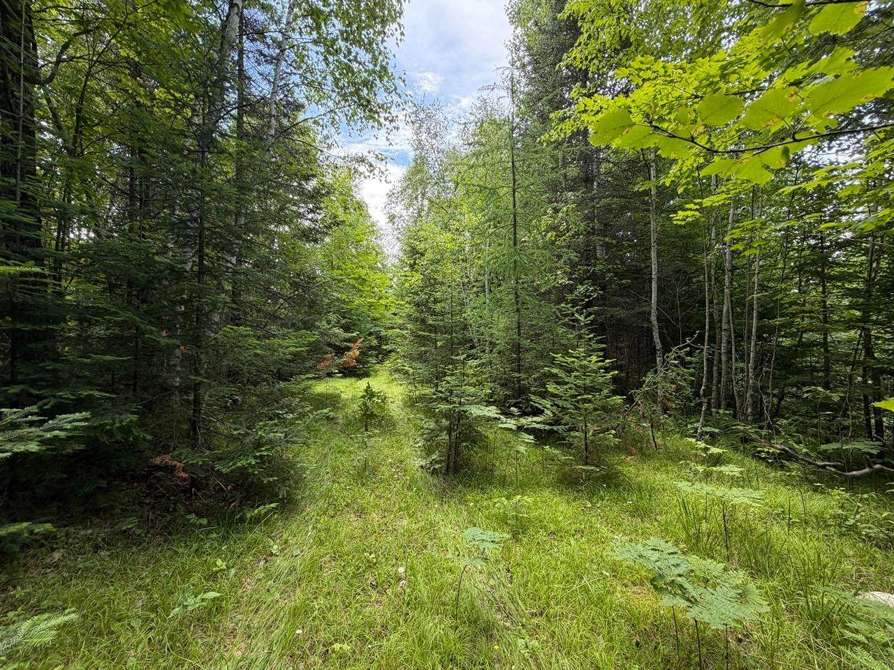 https://bt-photos.global.ssl.fastly.net/northwoods/orig_boomver_1_218130-2.jpg