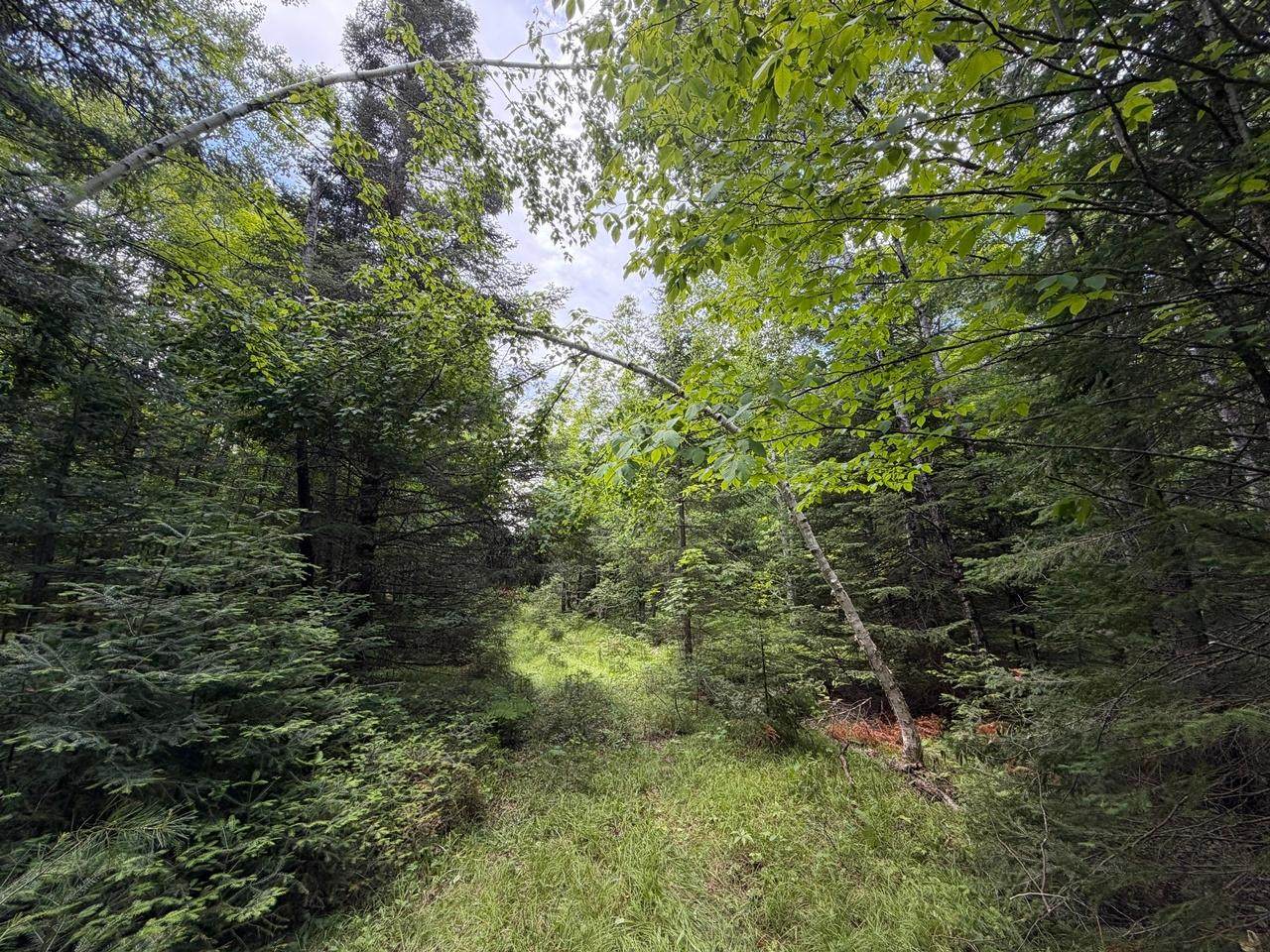 https://bt-photos.global.ssl.fastly.net/northwoods/orig_boomver_1_218130-2.jpg