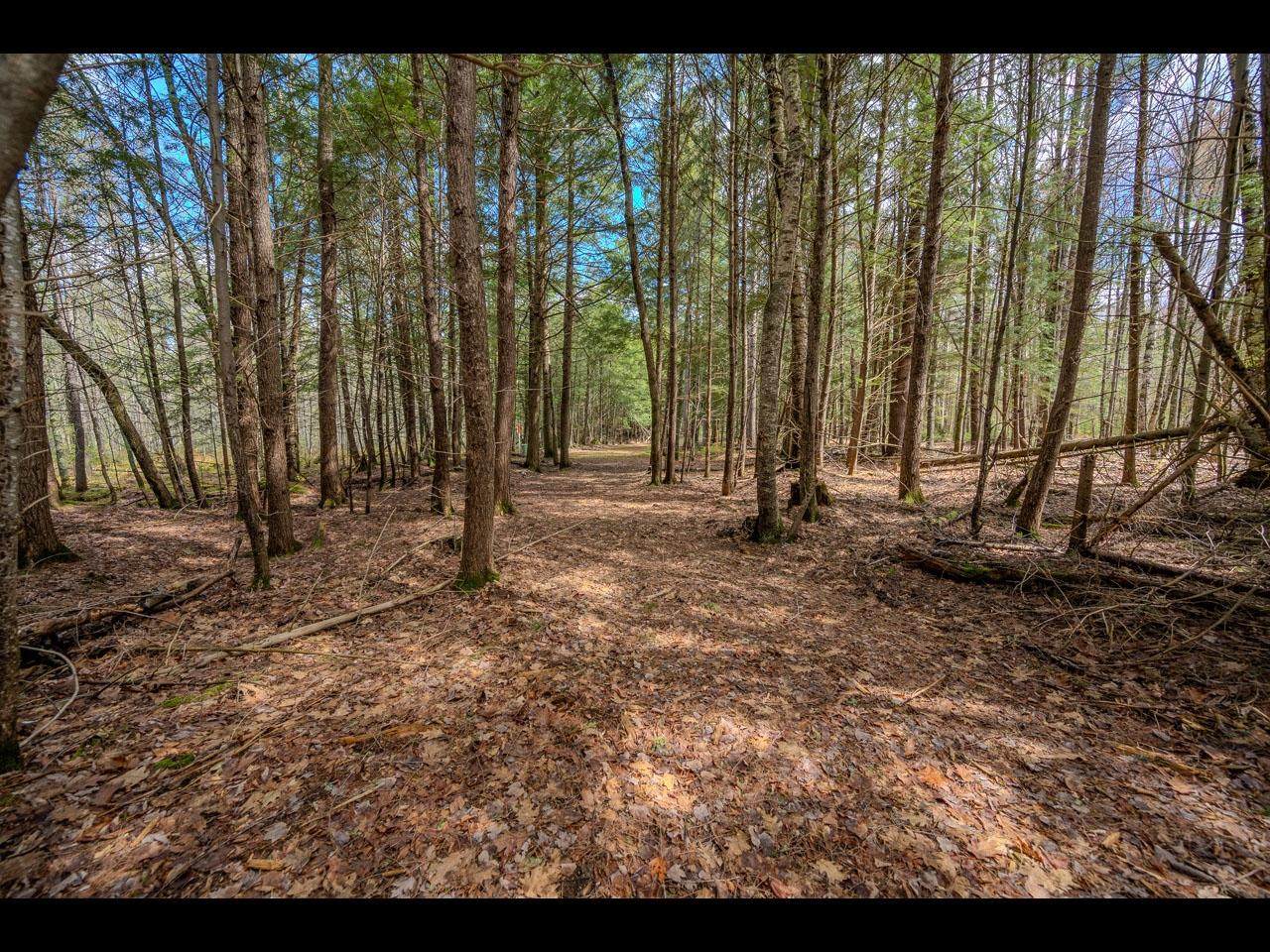 https://bt-photos.global.ssl.fastly.net/northwoods/orig_boomver_1_218139-2.jpg