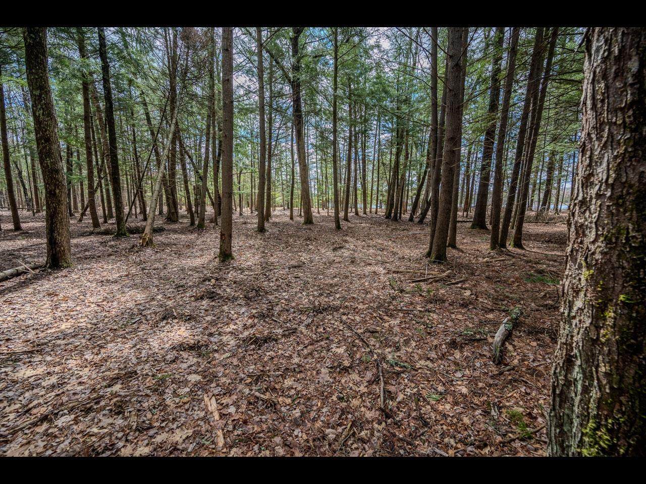 https://bt-photos.global.ssl.fastly.net/northwoods/orig_boomver_1_218139-2.jpg