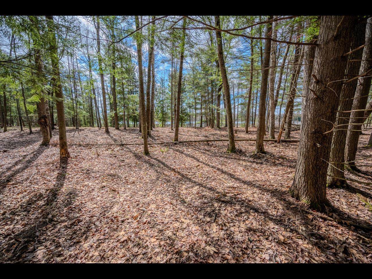 https://bt-photos.global.ssl.fastly.net/northwoods/orig_boomver_1_218139-2.jpg