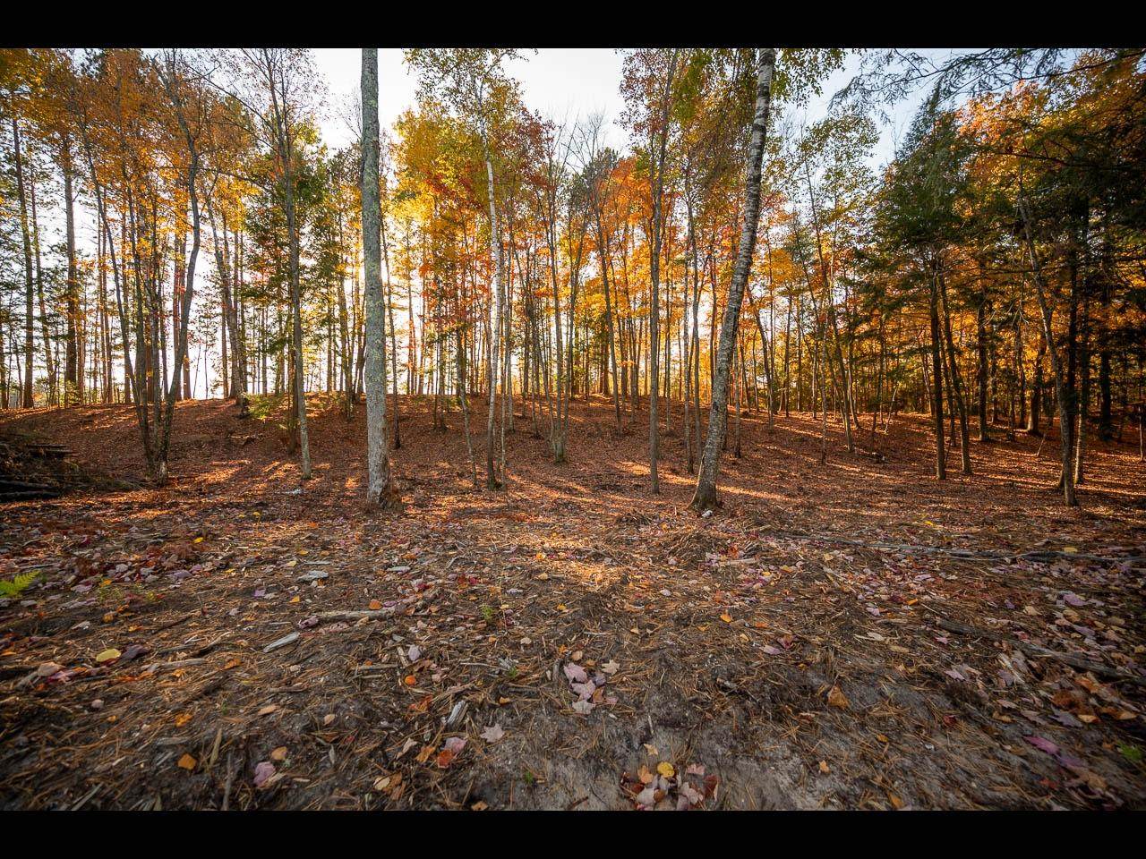 https://bt-photos.global.ssl.fastly.net/northwoods/orig_boomver_1_218140-2.jpg