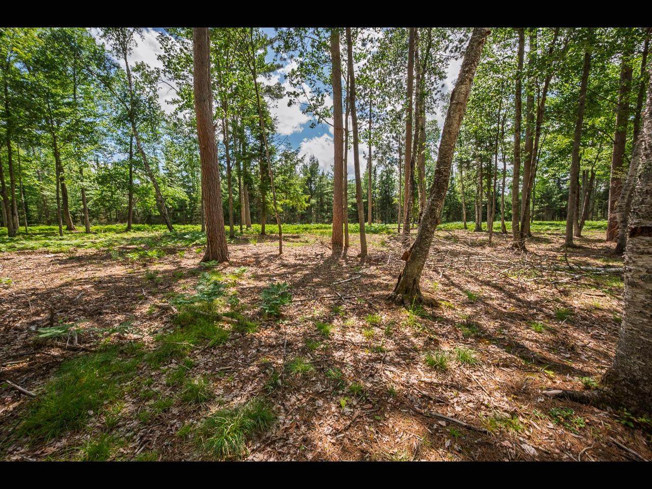 https://bt-photos.global.ssl.fastly.net/northwoods/orig_boomver_1_218147-2.jpg