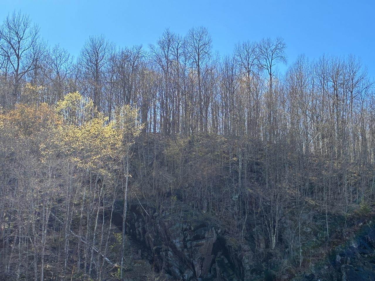 https://bt-photos.global.ssl.fastly.net/northwoods/orig_boomver_1_218397-2.jpg