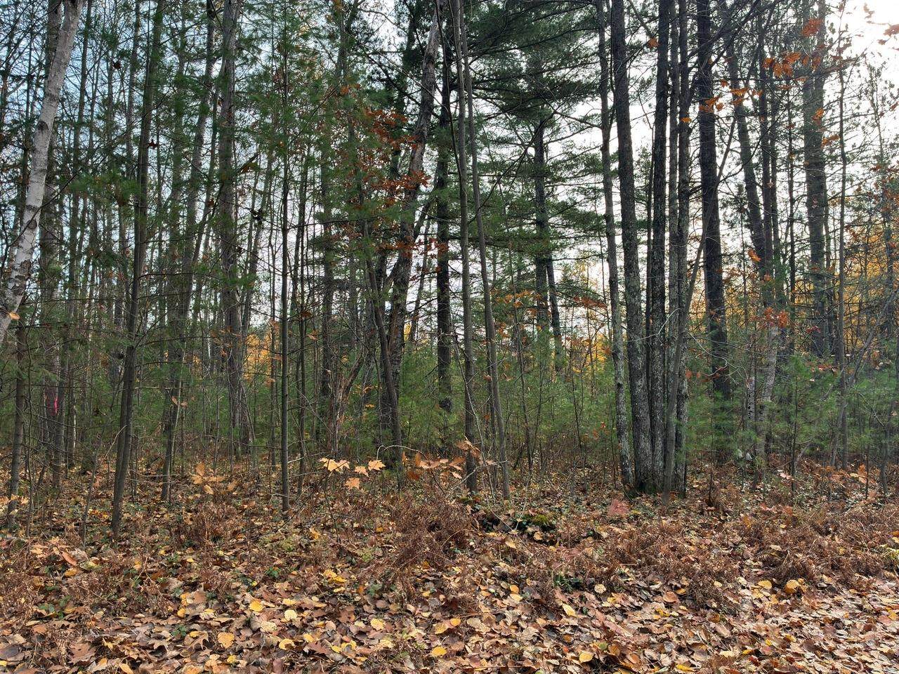 https://bt-photos.global.ssl.fastly.net/northwoods/orig_boomver_1_218496-2.jpg