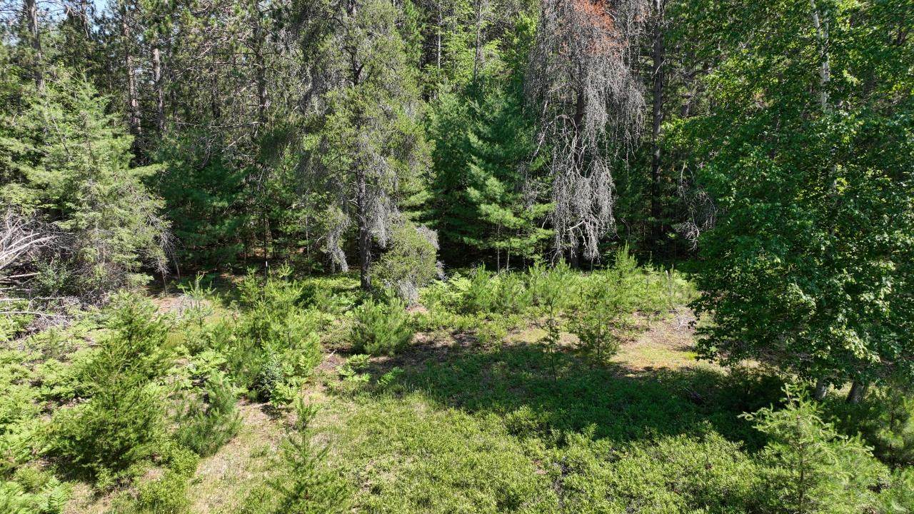 https://bt-photos.global.ssl.fastly.net/northwoods/orig_boomver_1_218524-2.jpg