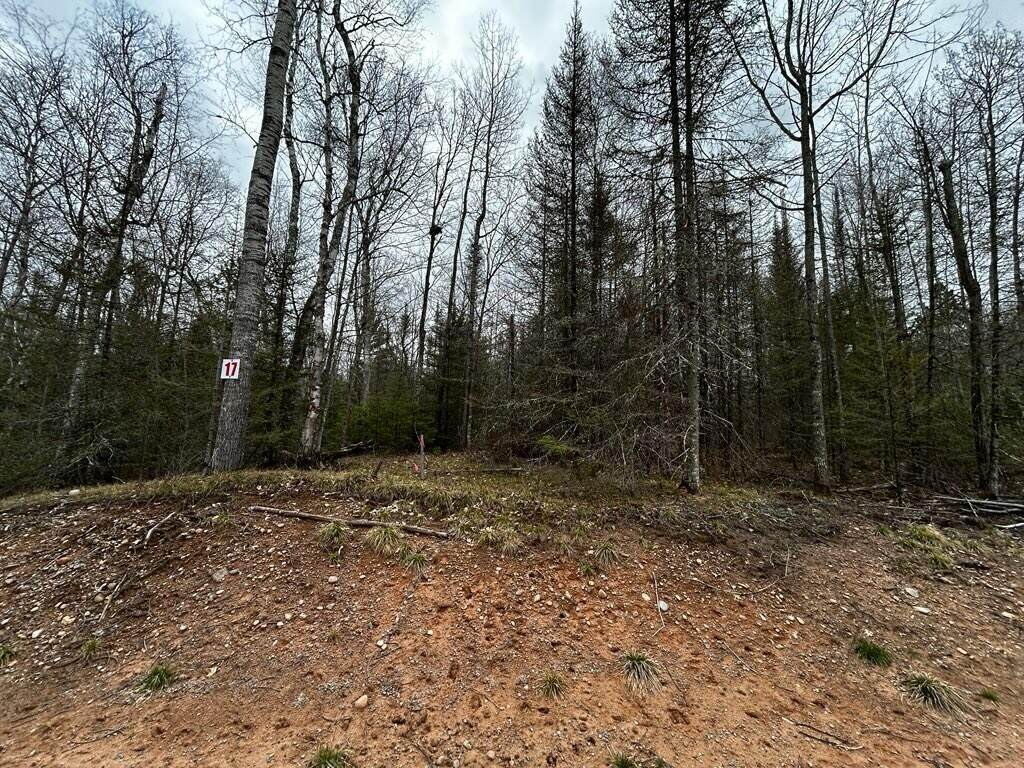 https://bt-photos.global.ssl.fastly.net/northwoods/orig_boomver_1_218755-2.jpg