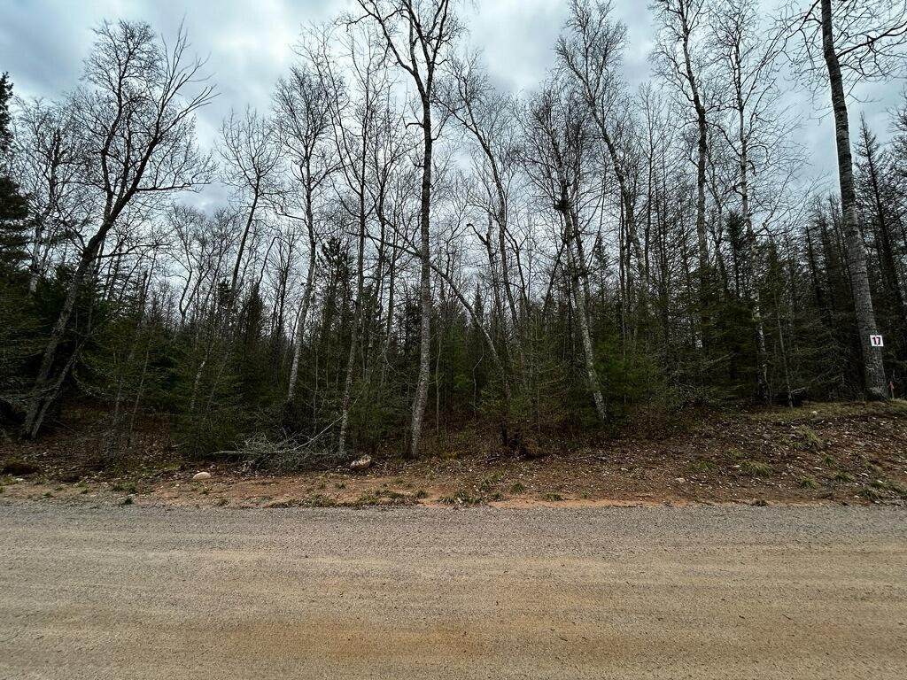 https://bt-photos.global.ssl.fastly.net/northwoods/orig_boomver_1_218755-2.jpg