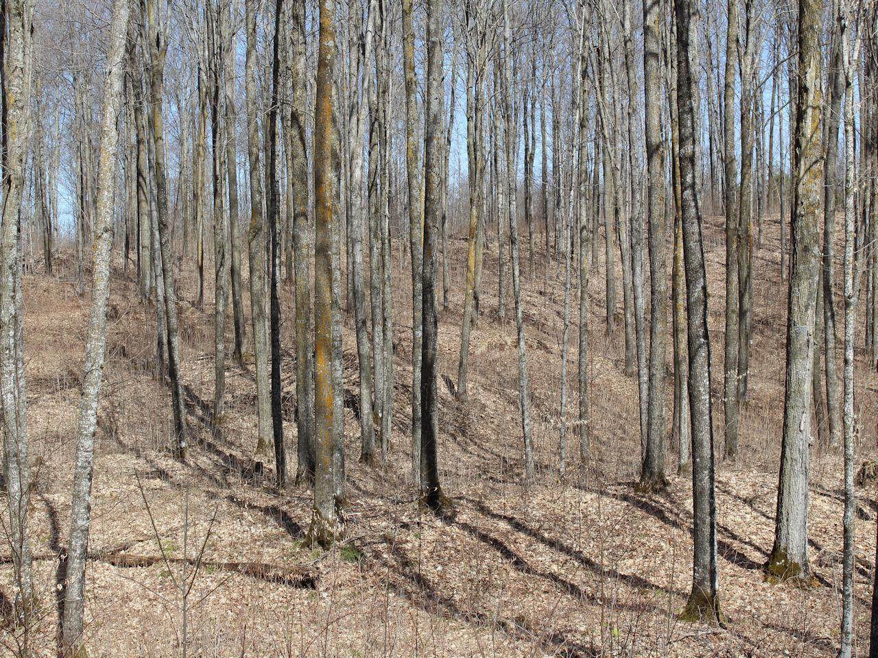 ON Will Rd - Photo 1