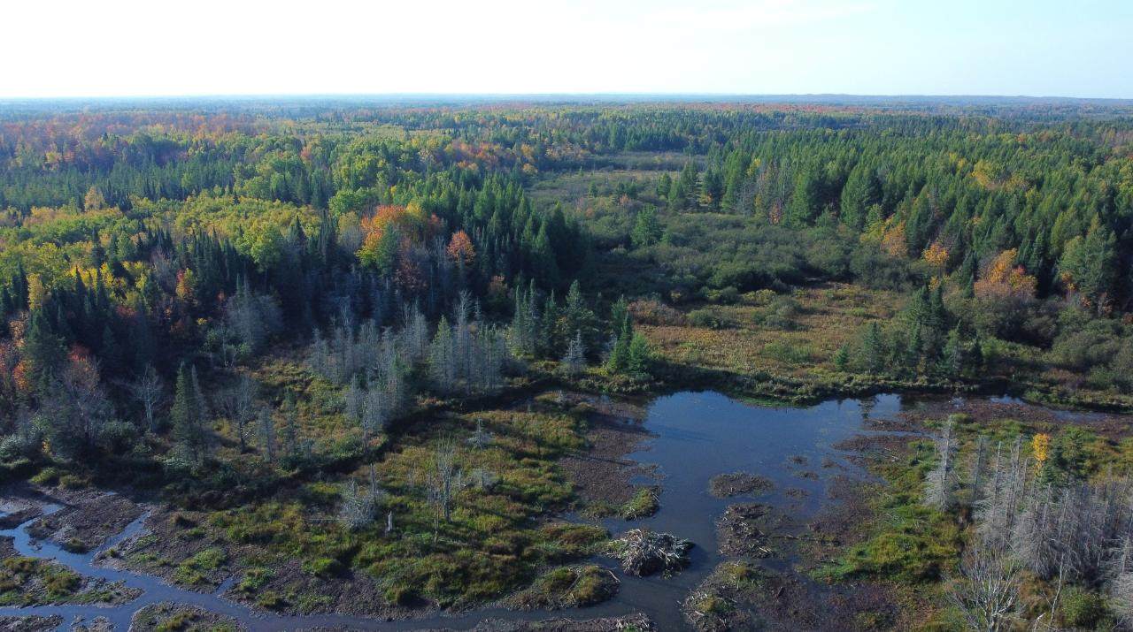 W2509 Trappers Rd - Photo 1