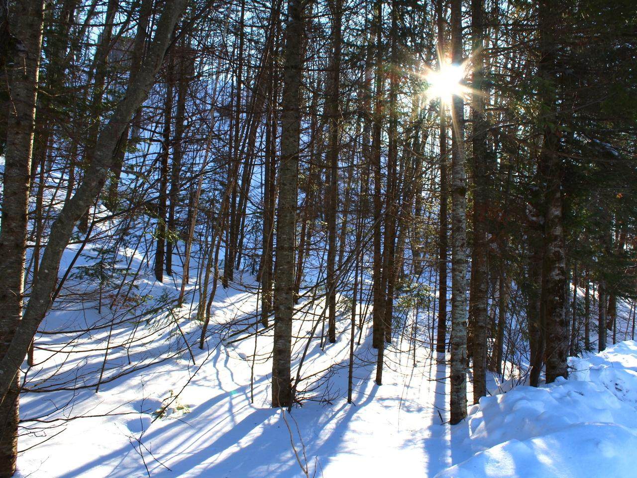 Outlot 1 Skye Dr - Photo 1