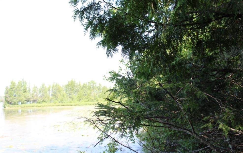 https://bt-photos.global.ssl.fastly.net/northwoods/orig_boomver_2_208299-2.jpg