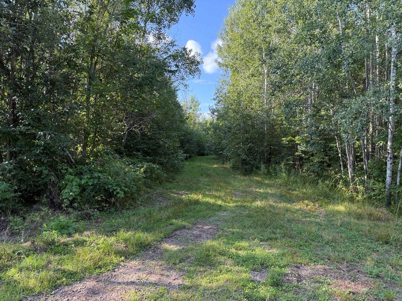 W11013 Burr Oak Rd - Photo 1