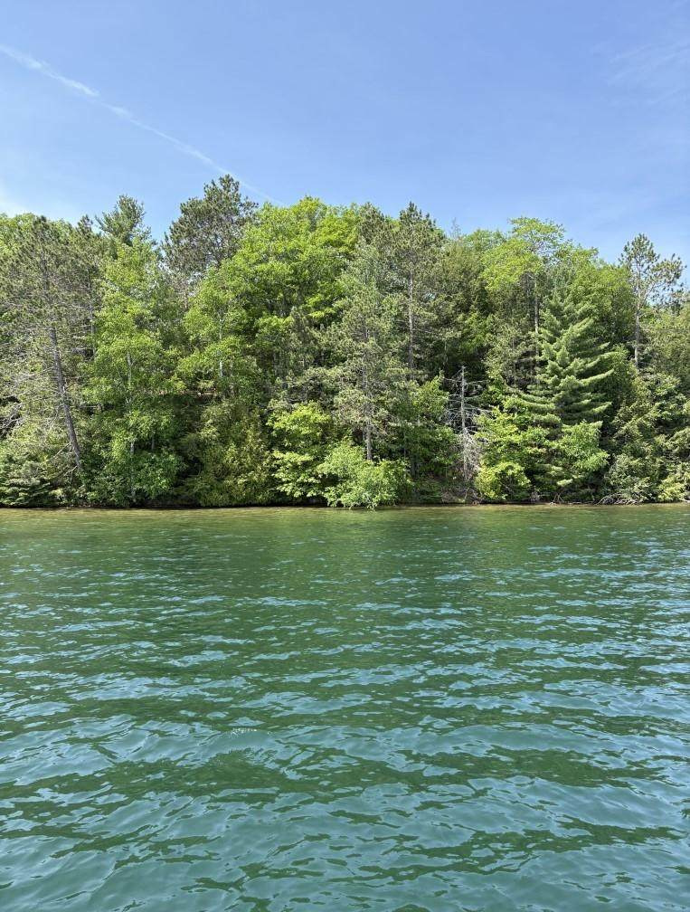 https://bt-photos.global.ssl.fastly.net/northwoods/orig_boomver_2_210825-2.jpg