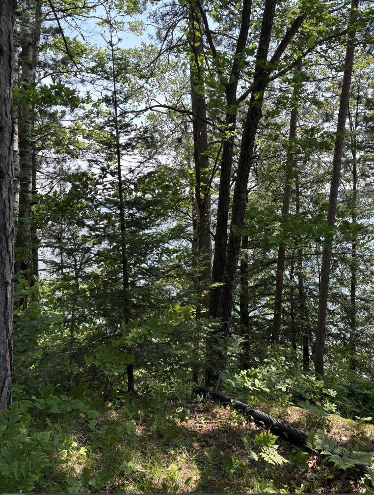 https://bt-photos.global.ssl.fastly.net/northwoods/orig_boomver_2_210825-2.jpg