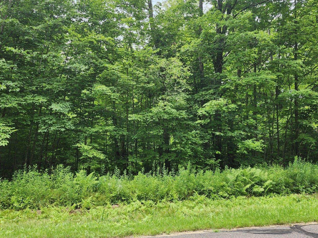 ON Lake Winter Rd - Photo 1
