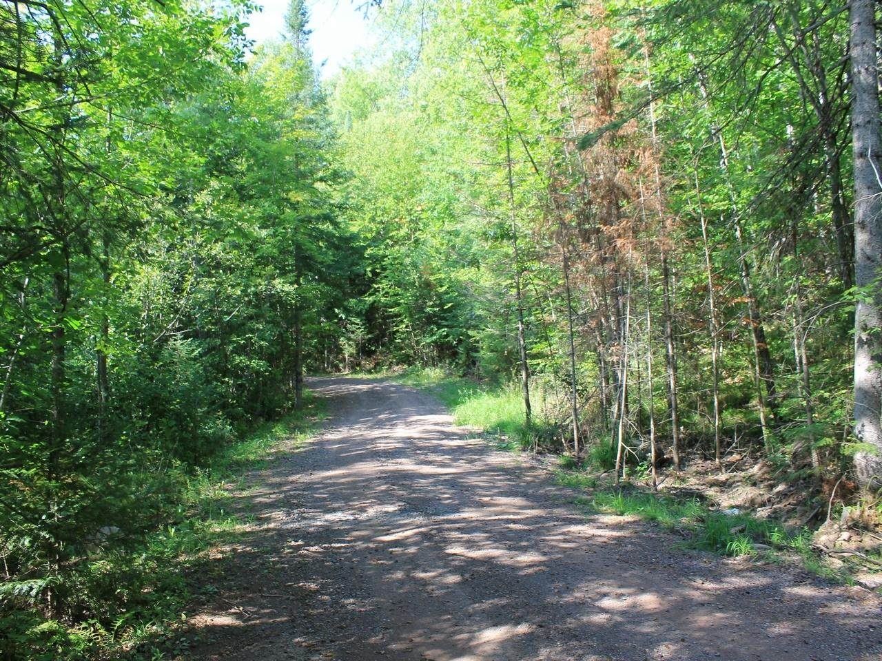 https://bt-photos.global.ssl.fastly.net/northwoods/orig_boomver_2_211880-2.jpg