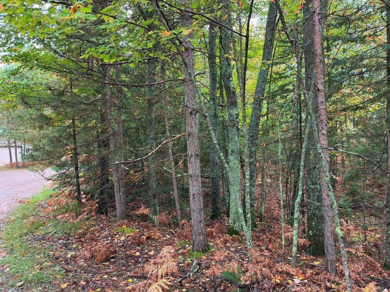 ON Musky Dam Ln - Photo 1
