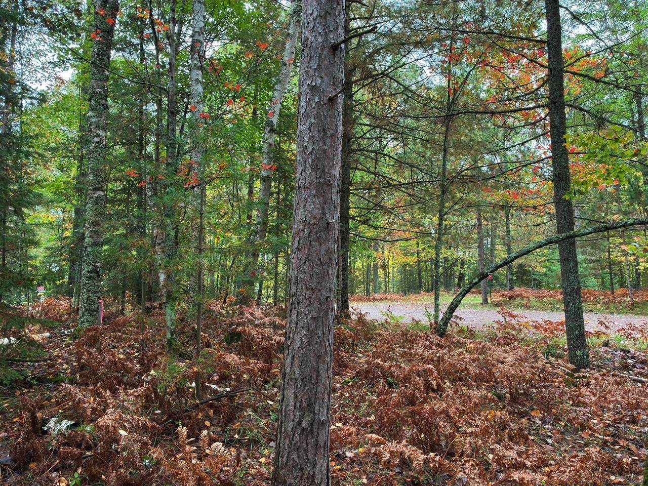 https://bt-photos.global.ssl.fastly.net/northwoods/orig_boomver_2_213550-2.jpg