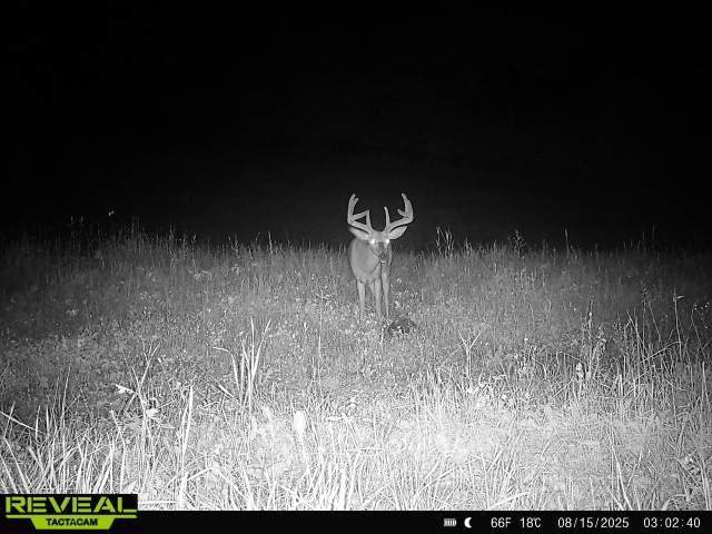 https://bt-photos.global.ssl.fastly.net/northwoods/1280_boomver_1_214074-2.jpg