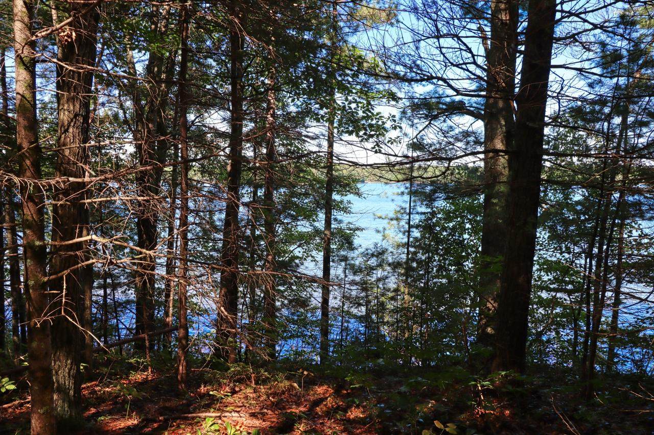 12194 Plummer Lake Ln S - Photo 1