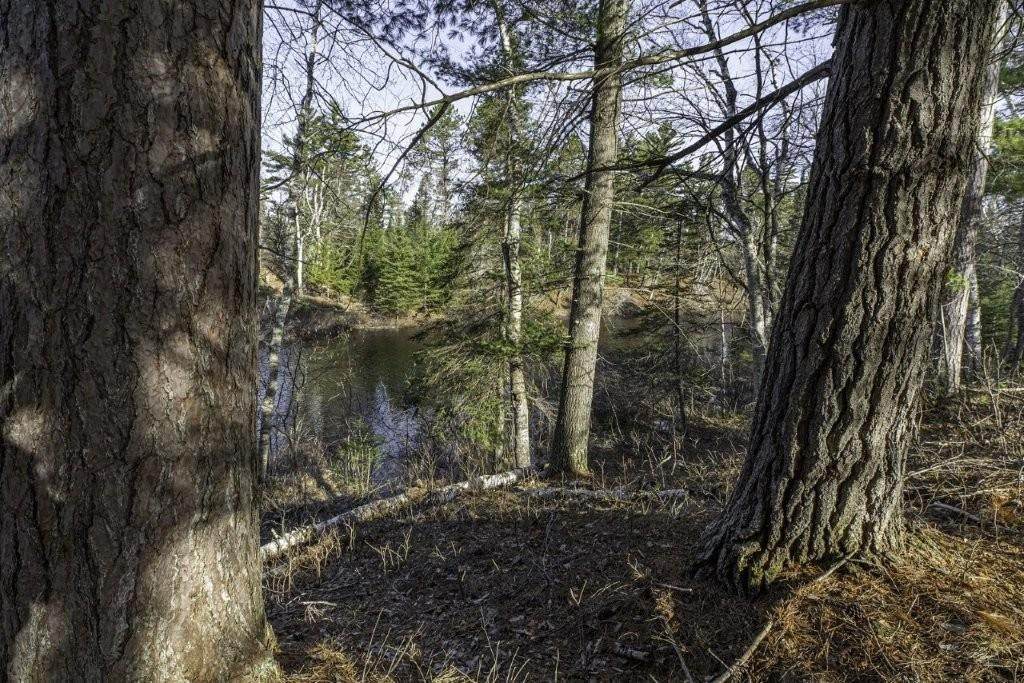 https://bt-photos.global.ssl.fastly.net/northwoods/orig_boomver_2_216886-2.jpg
