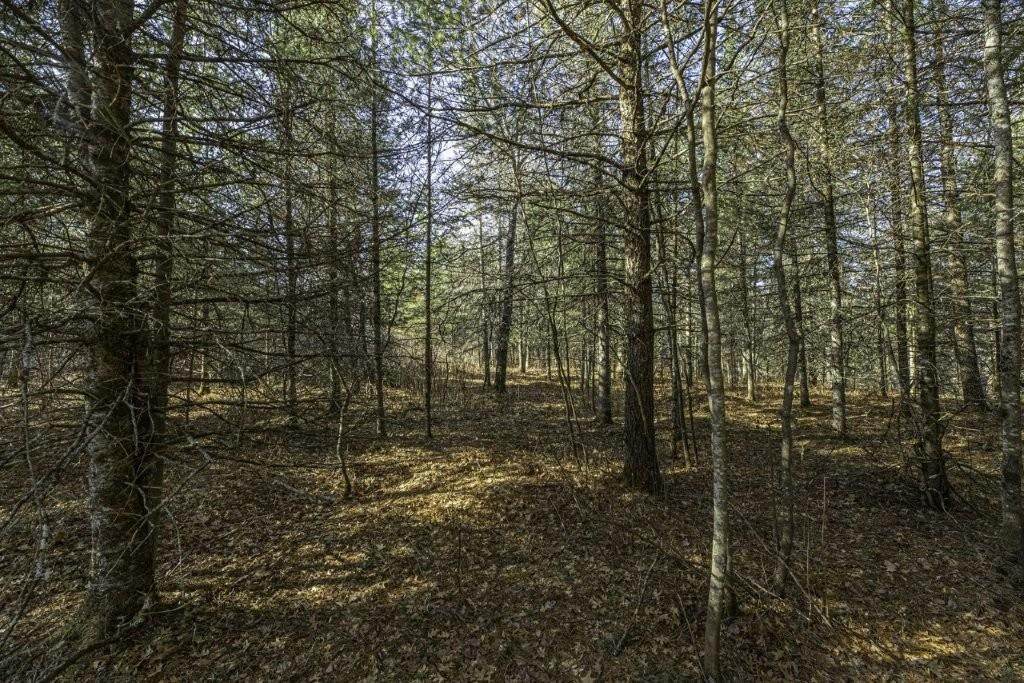 https://bt-photos.global.ssl.fastly.net/northwoods/orig_boomver_2_216886-2.jpg