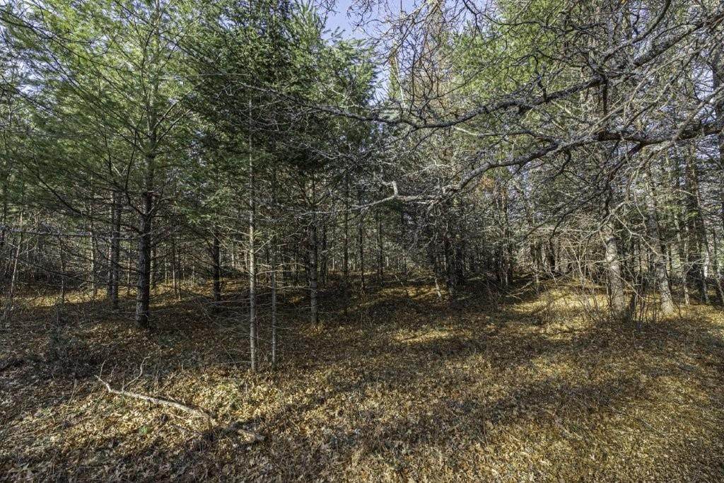 https://bt-photos.global.ssl.fastly.net/northwoods/orig_boomver_2_216886-2.jpg