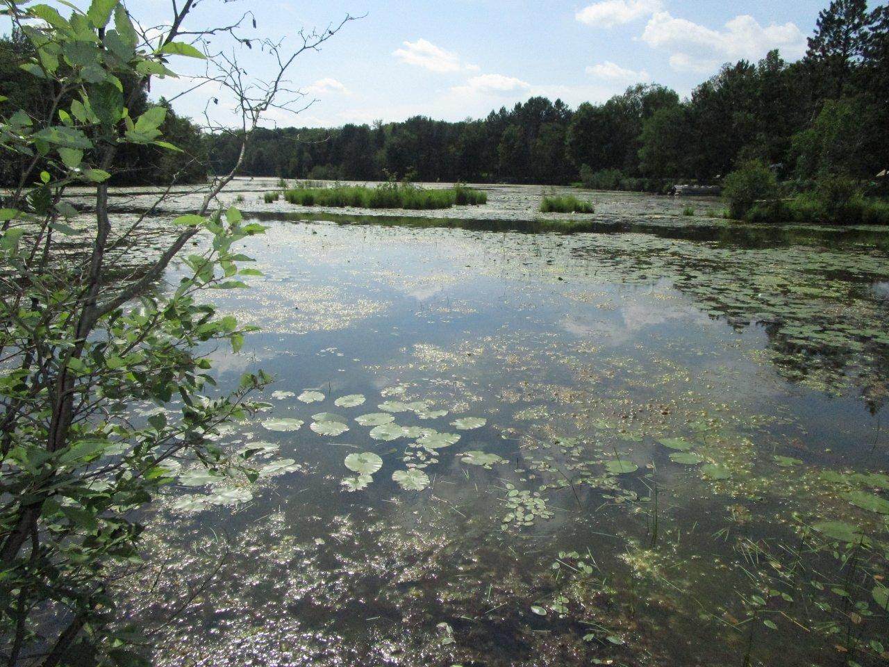 ON Peninsula Dr - Photo 1