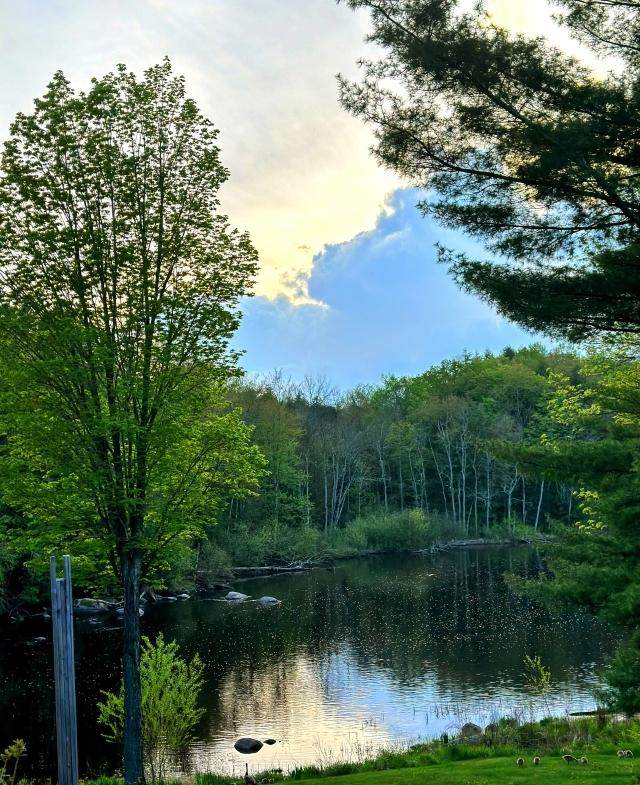 https://bt-photos.global.ssl.fastly.net/northwoods/orig_boomver_3_210701-2.jpg