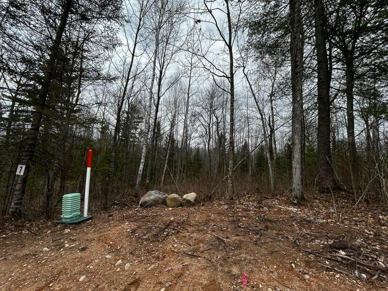 Lot 7 Butternut Cir - Photo 1
