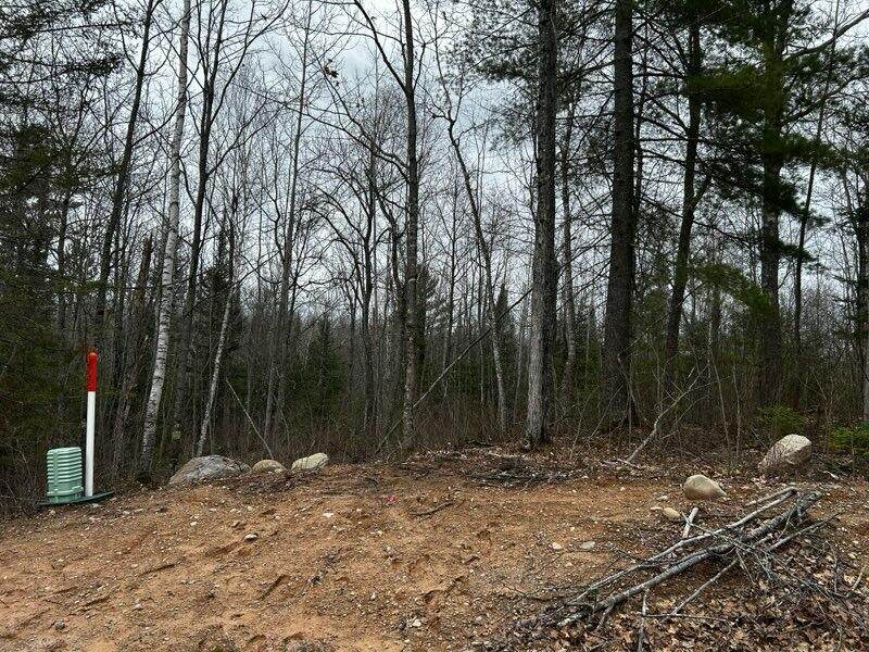 https://bt-photos.global.ssl.fastly.net/northwoods/orig_boomver_3_215458-2.jpg