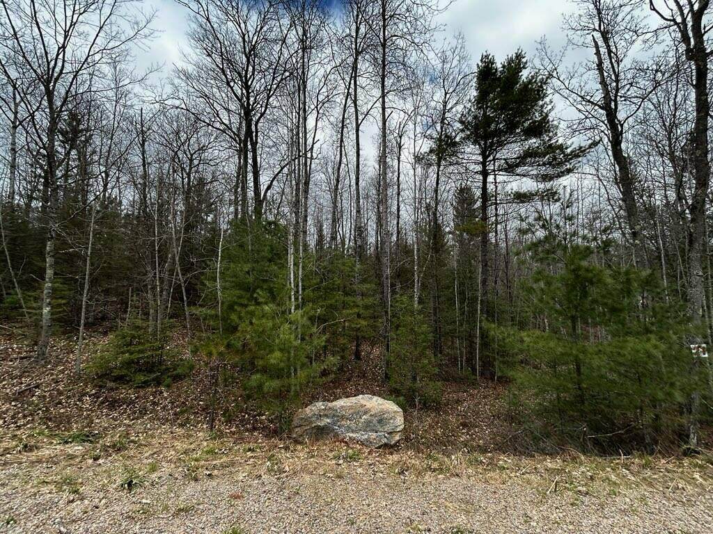 Lot 21 Butternut Cir - Photo 1
