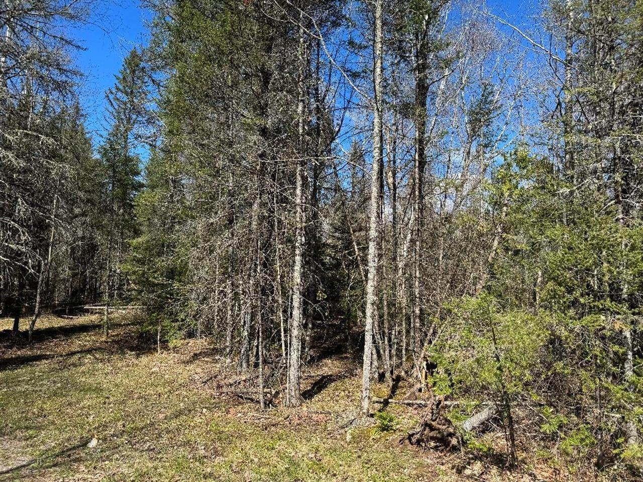 https://bt-photos.global.ssl.fastly.net/northwoods/orig_boomver_3_215807-2.jpg