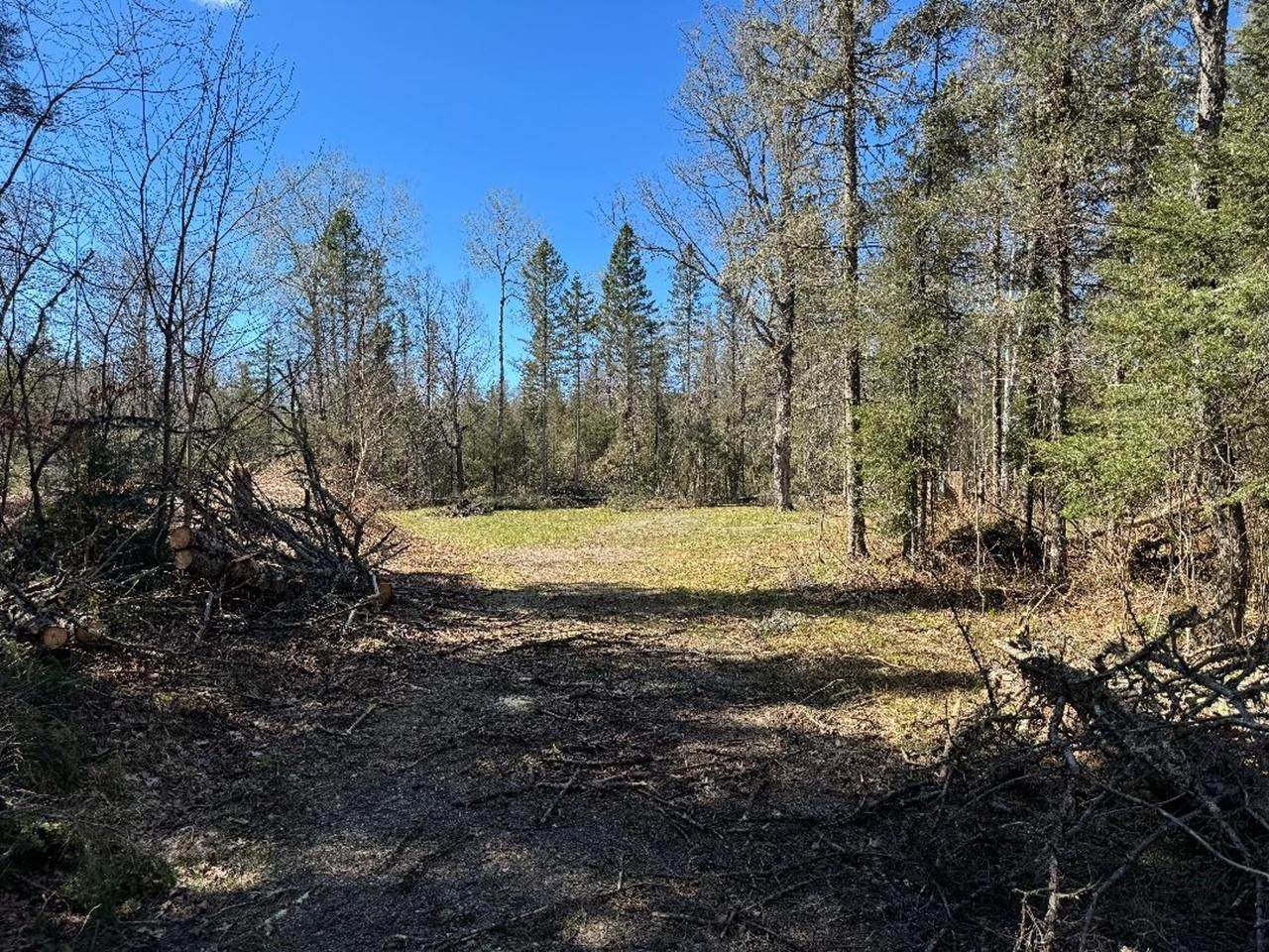 https://bt-photos.global.ssl.fastly.net/northwoods/orig_boomver_3_215807-2.jpg