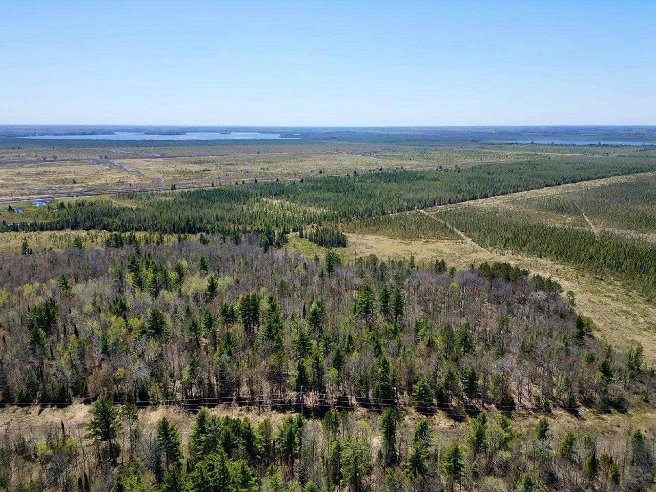 ON Wykowski Rd - Photo 1