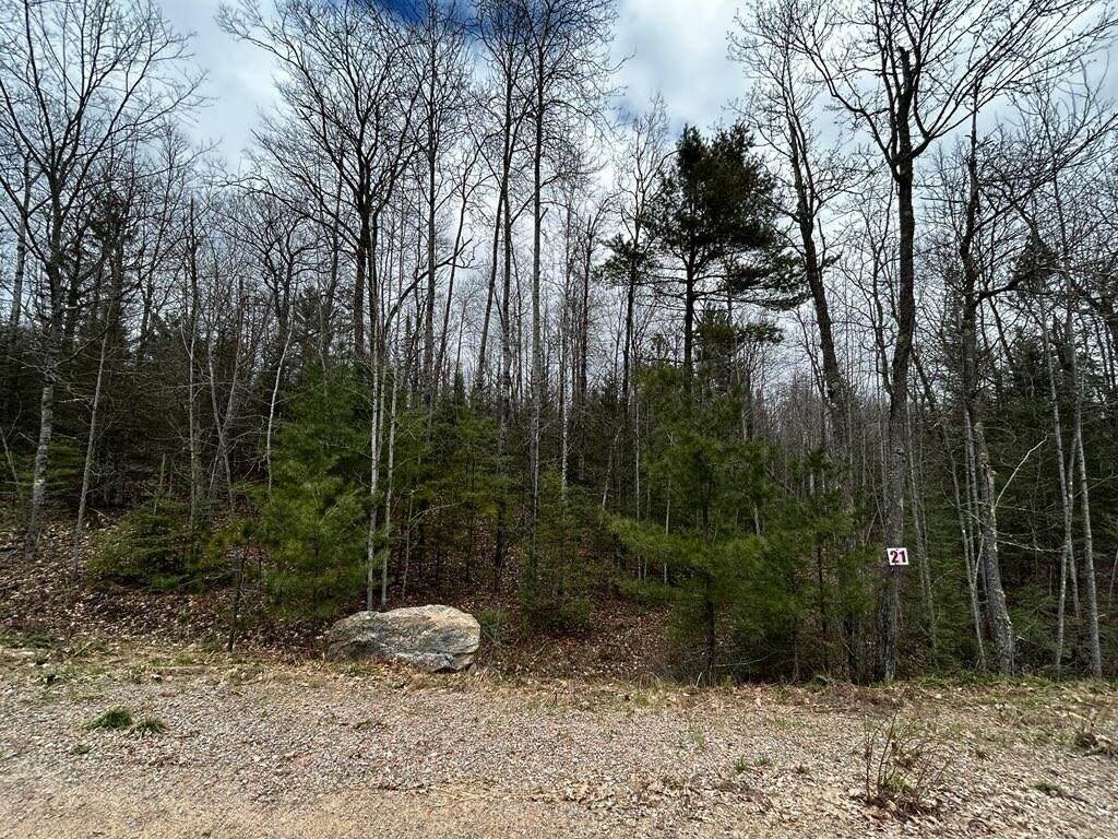 https://bt-photos.global.ssl.fastly.net/northwoods/orig_boomver_6_215485-2.jpg