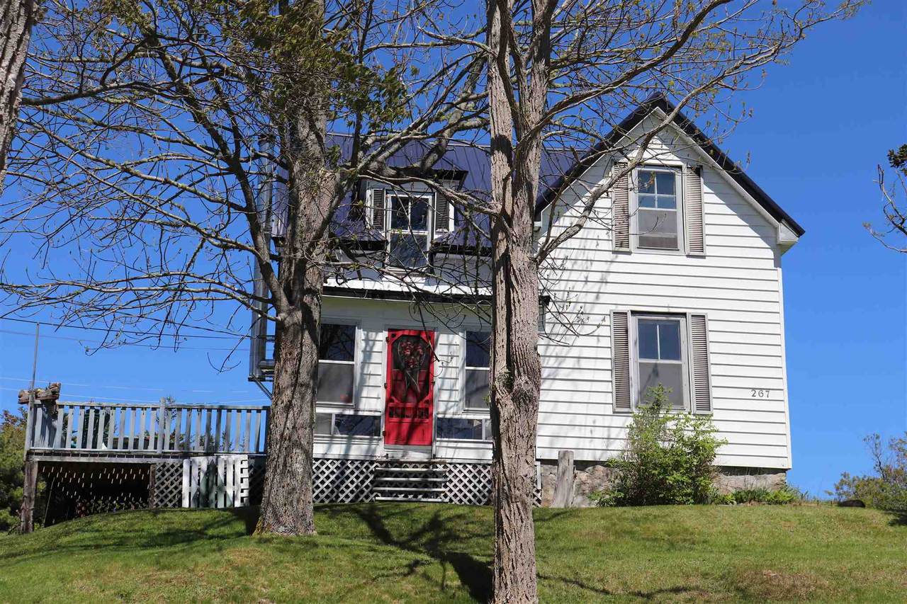 267 Central Port Mouton Road - Photo 1