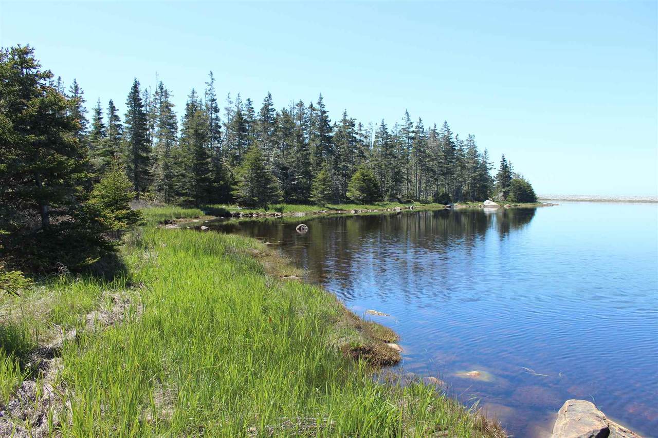 3156 Ostrea Lake Road - Photo 1