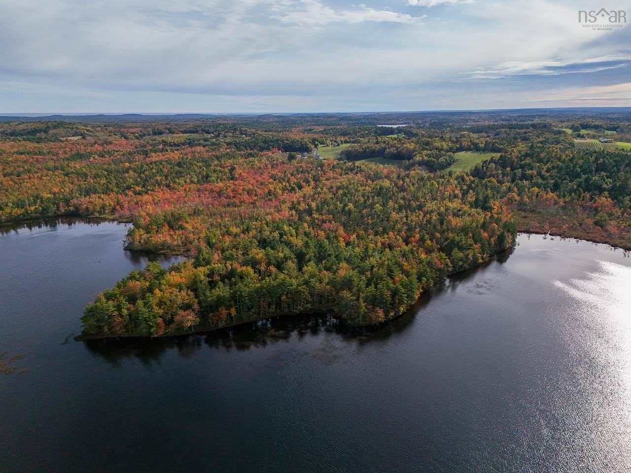 63 Frank Road - Photo 1