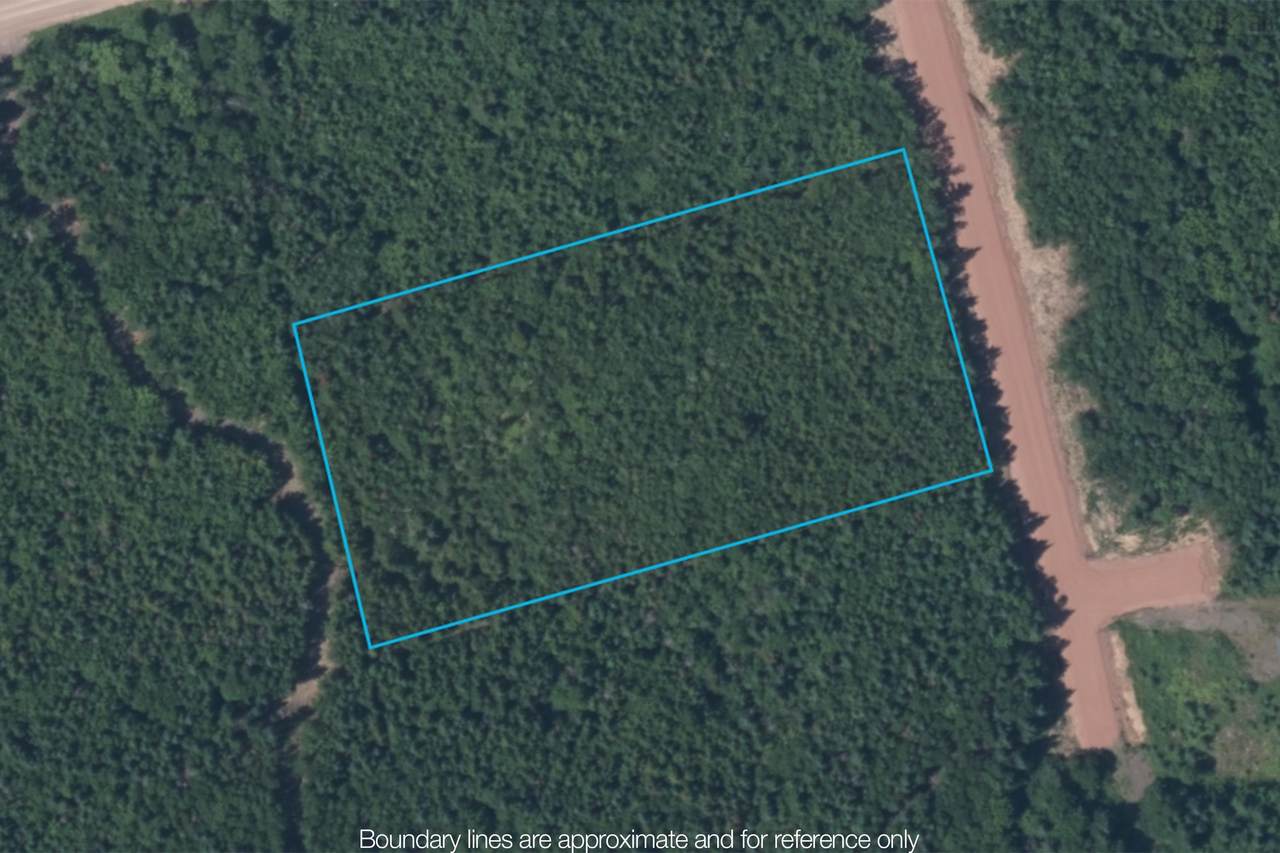  Bay Bluffs Road - Photo 1