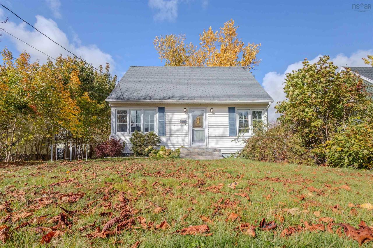 19 Hinesdale Drive - Photo 1