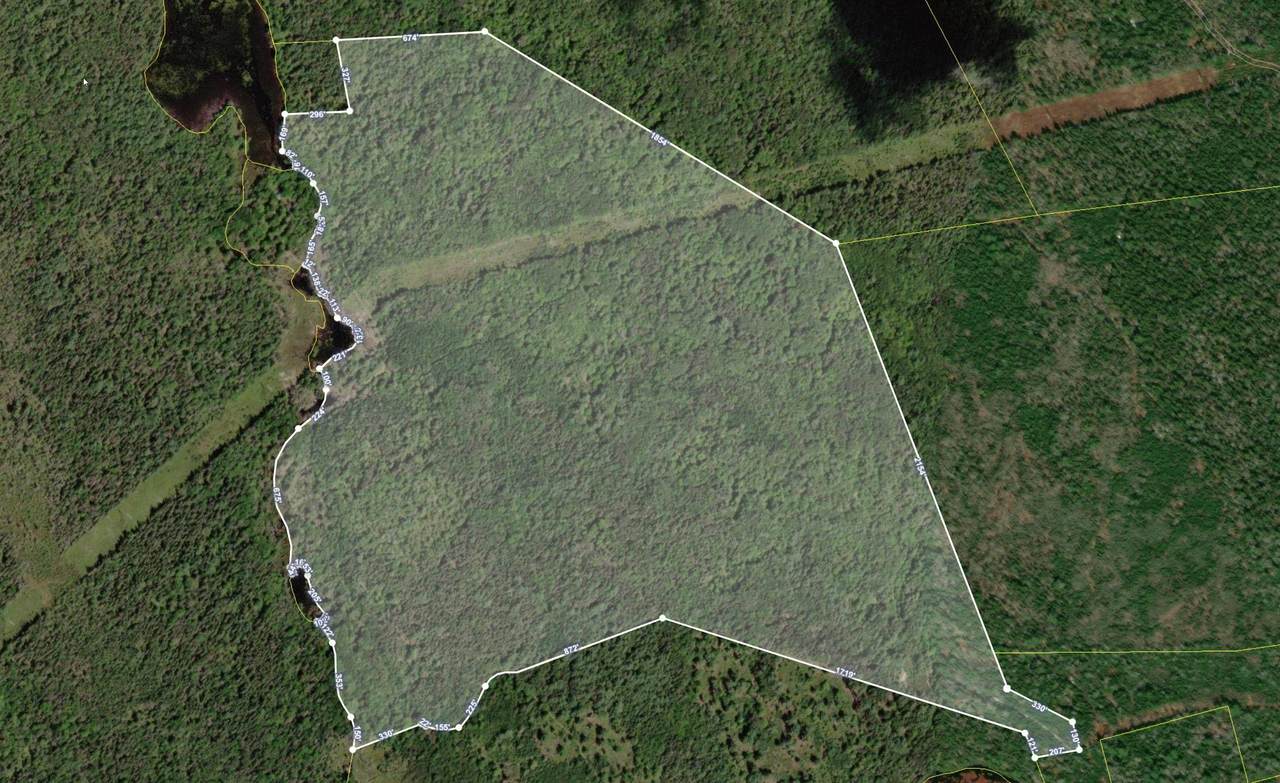  Lacey Mines Road - Photo 1