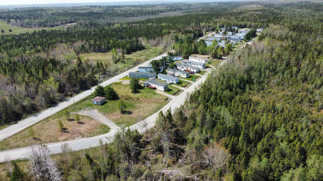 1 Whispering Pines Trailer Park Road - Photo 1