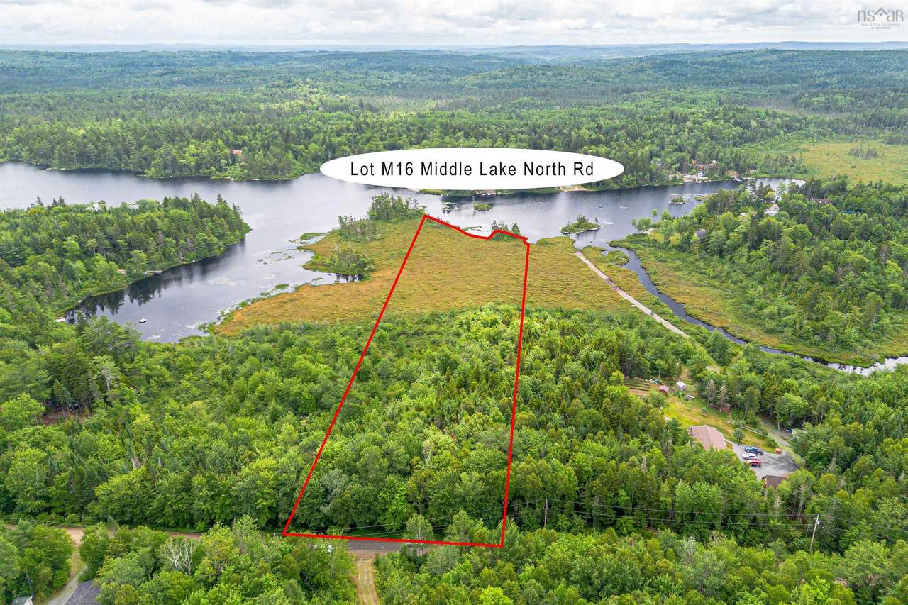 Lot M-16 Middle Lake North Road - Photo 1