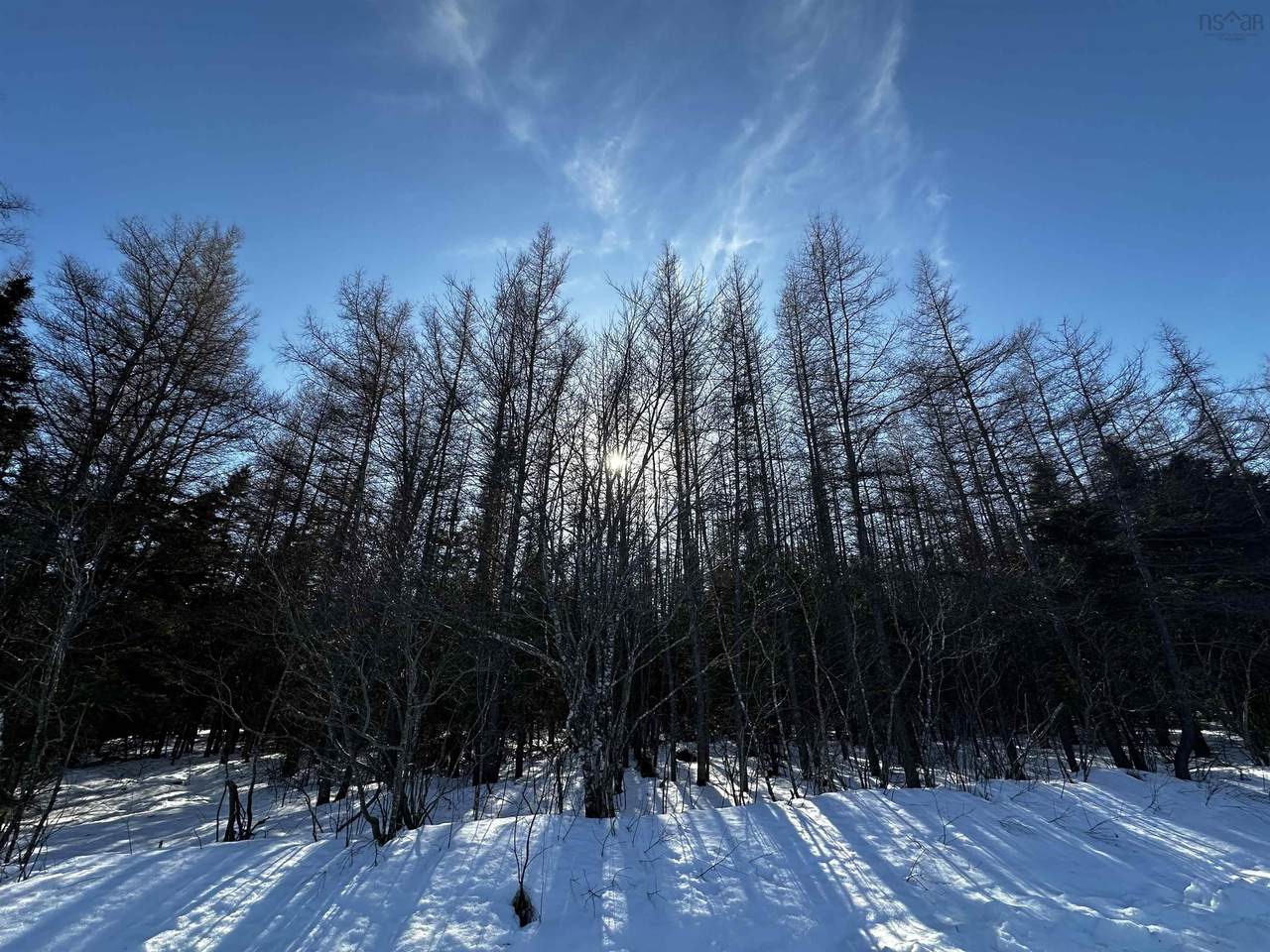  Whycocomagh-Port Hood Road - Photo 1